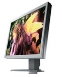 EIZO FlexScan® 21.3 inch LCD