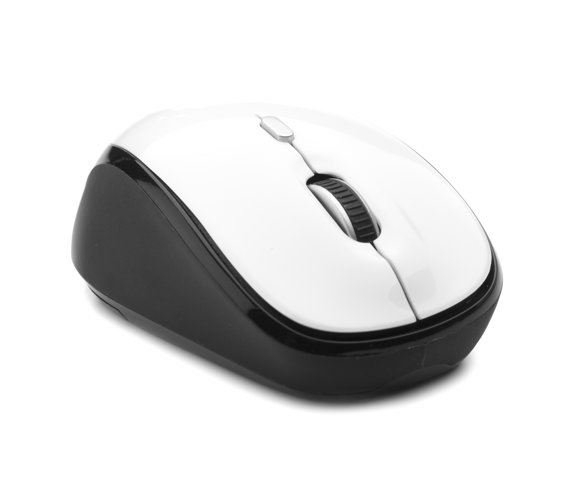 NGS Roly White – image 2