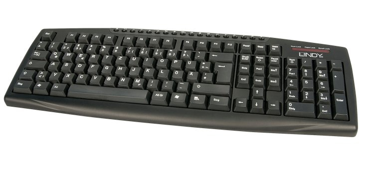 Lindy 20835 keyboard USB German Black