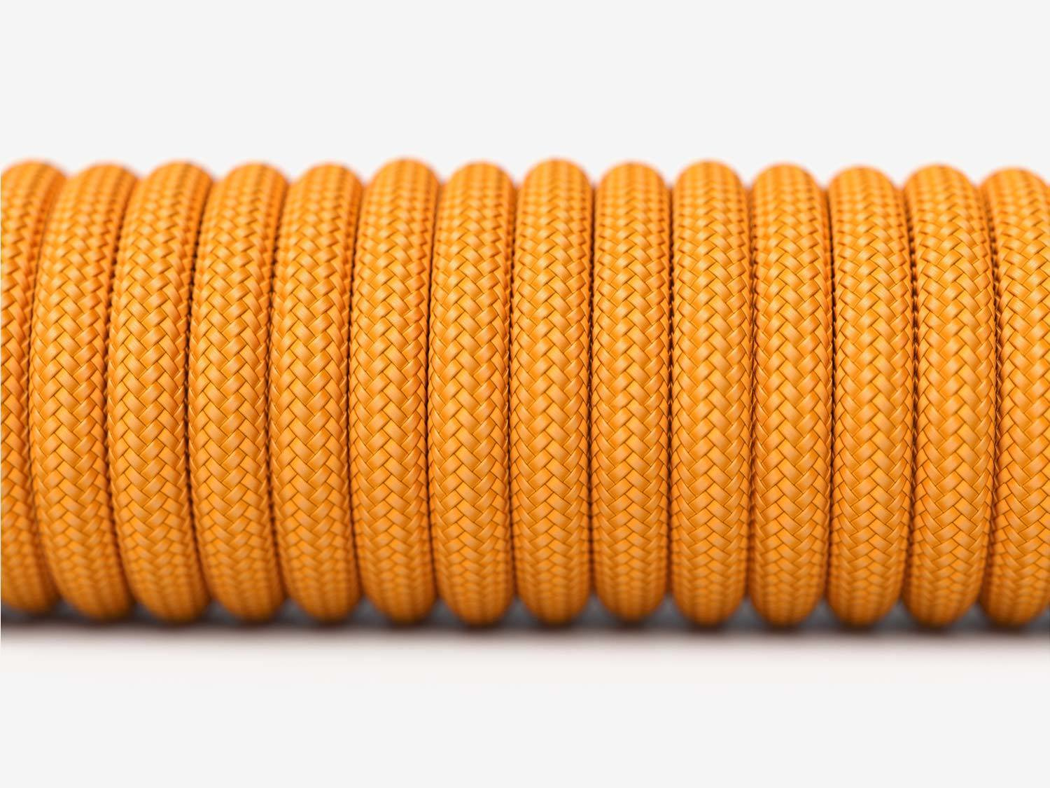 Glorious PC Gaming Race Ascended Cable V2 - …
