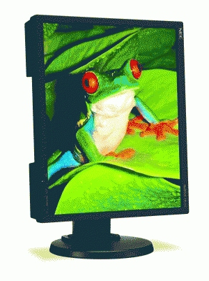 NEC MultiSync EA190M-BK – image 3