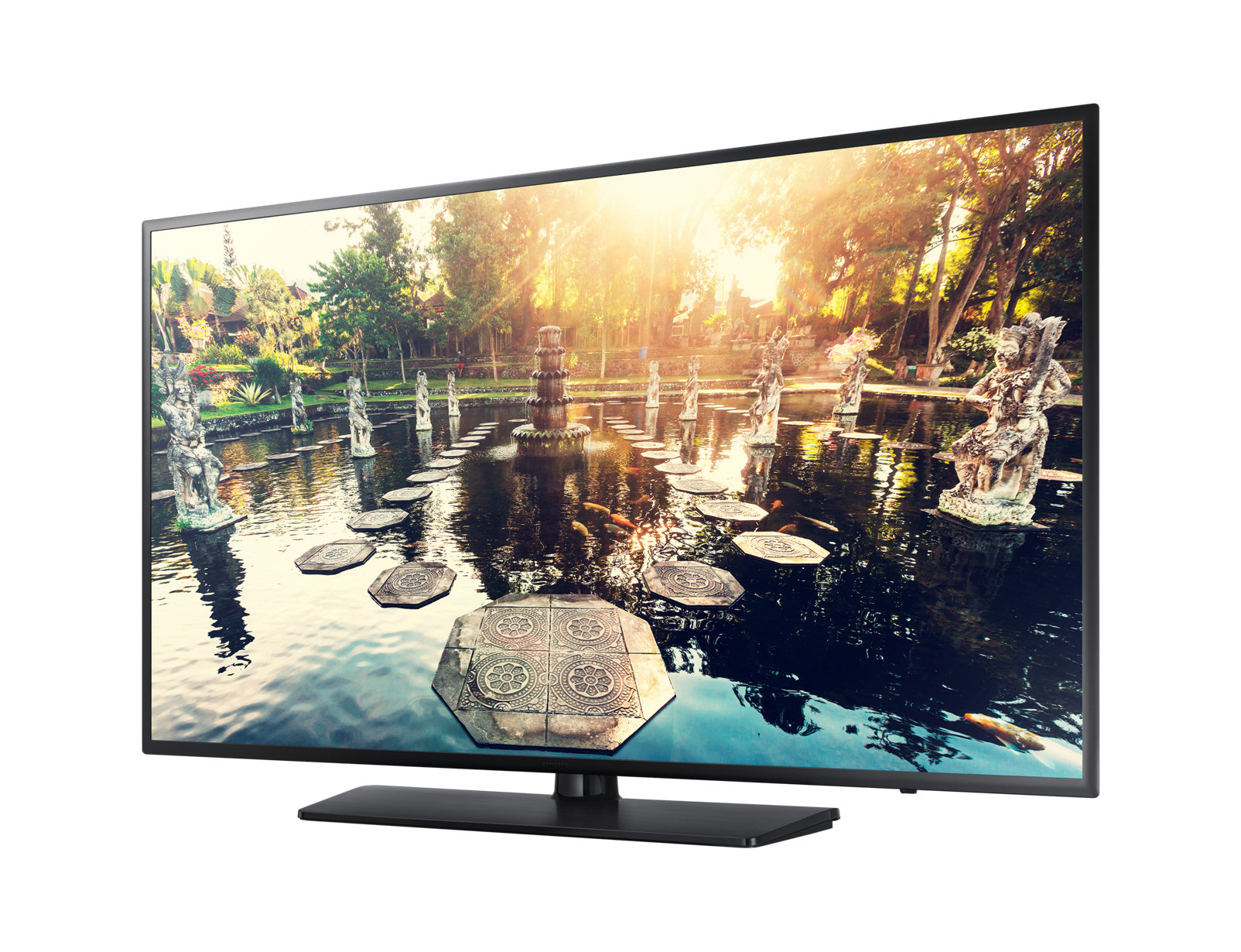 Samsung HG49EE690DB hospitality TV – image 2