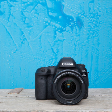 Canon 5D Mark IV + EF 24-70mm f/4L IS USM – image 8