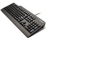 Lenovo 4X30E51036 keyboard USB Swiss Black