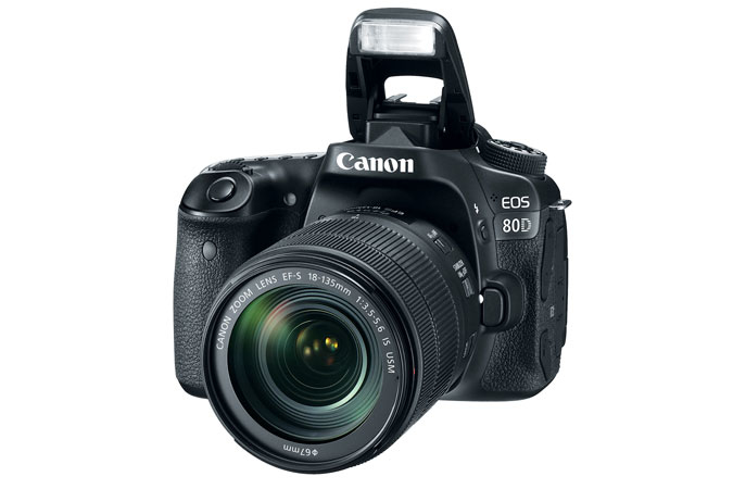 Canon 80D + EF-S 18-135 IS USM – image 8
