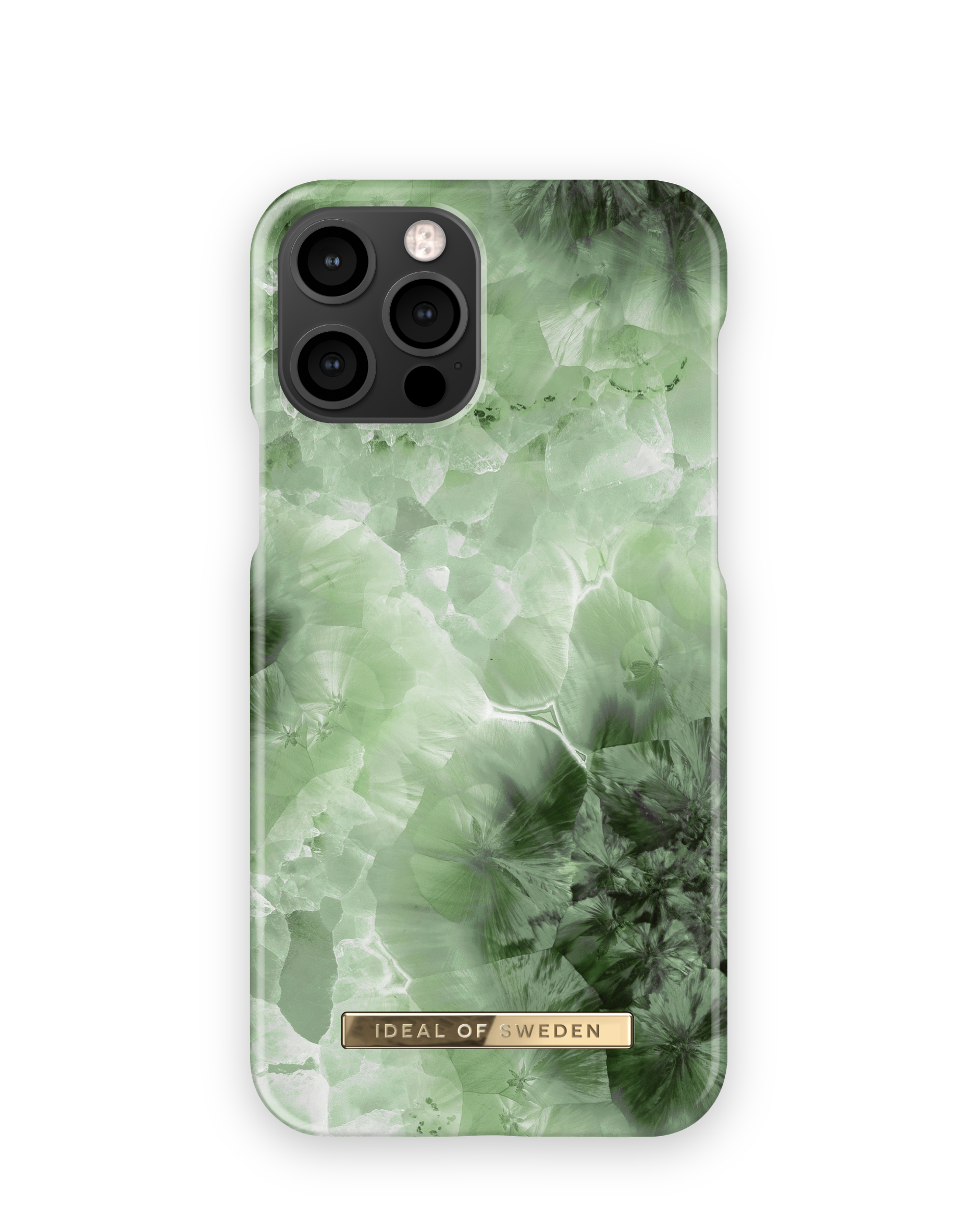 iDeal of Sweden IDFCAW20-2061-230 mobile phone case