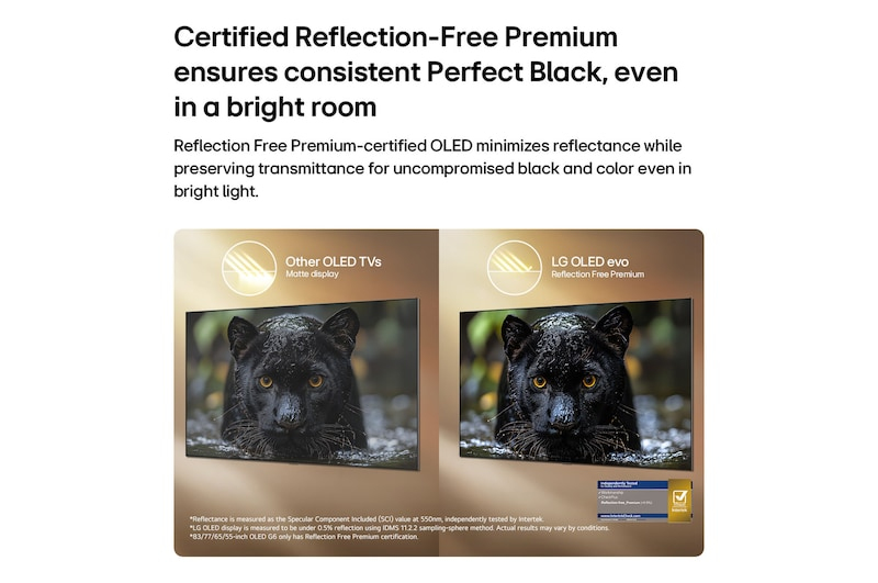 LG OLED 65 G 66 LS.AEU – image 5