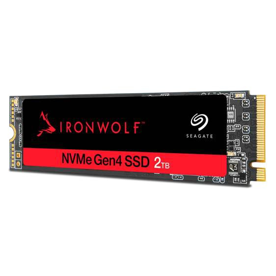 Seagate IronWolf ZP500NM30002 internal solid state drive