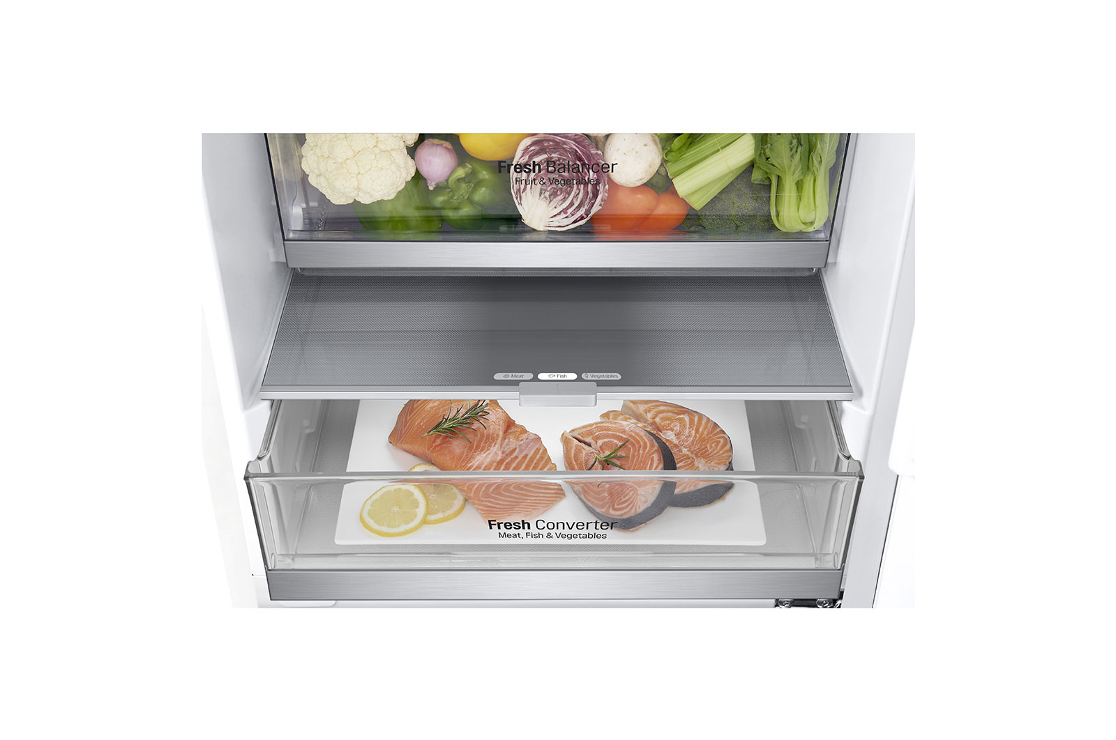 LG GBB72SWEFN fridge-freezer Freestanding – image 7