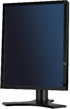 NEC MD213MC 21" LCD Display – image 2