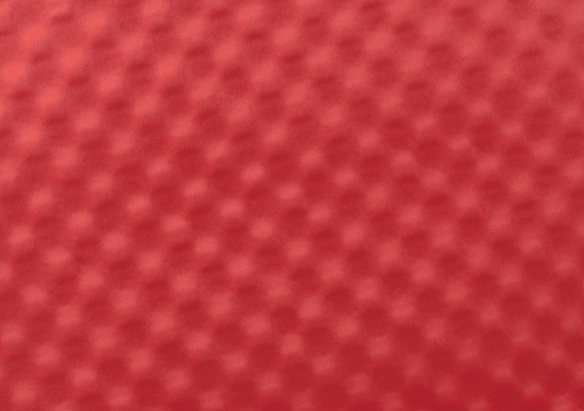 NGS Red Checkers – image 5