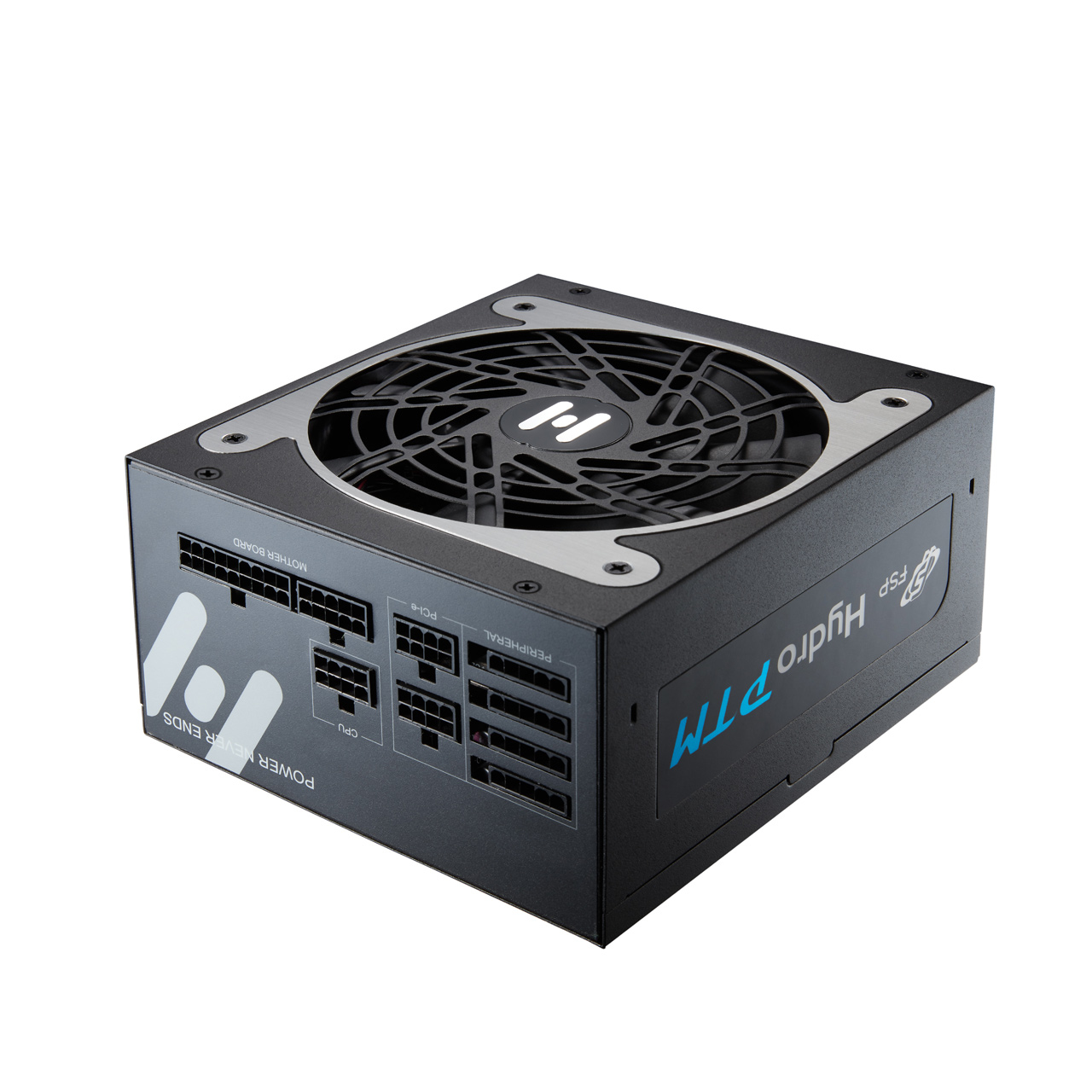 FSP Hydro PTM – image 2