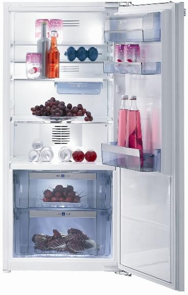 Gorenje RI56208 fridge Built-in White