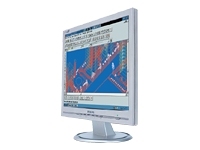 Philips 170S5FS 17IN ANA 450:1