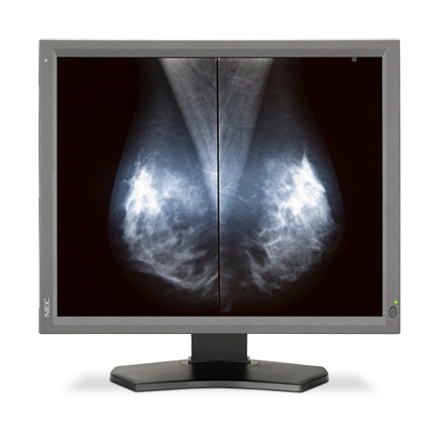 NEC MD211G5 computer monitor