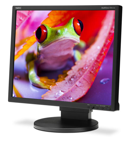 NEC EA191M + Cordless Desktop EX 110