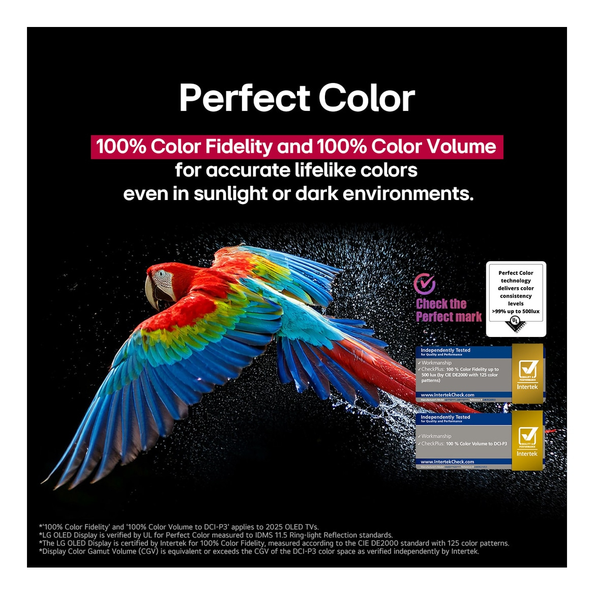 LG OLED evo AI OLED55C5ELB – image 7
