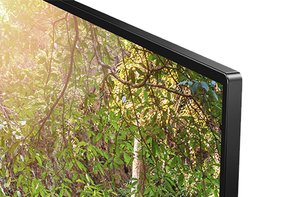 TCL 55EP668 TV 139.7 cm (55") 4K Ultra HD Smart TV Wi-Fi Titanium 350 cd/m² – image 4