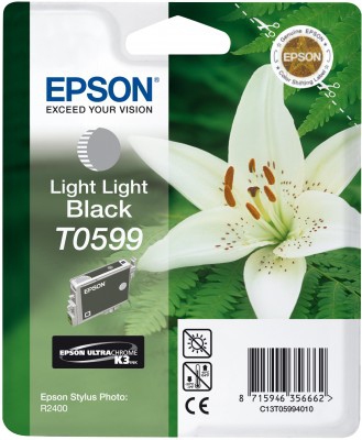 Epson Singlepack Light Light Black T0599 – image 1