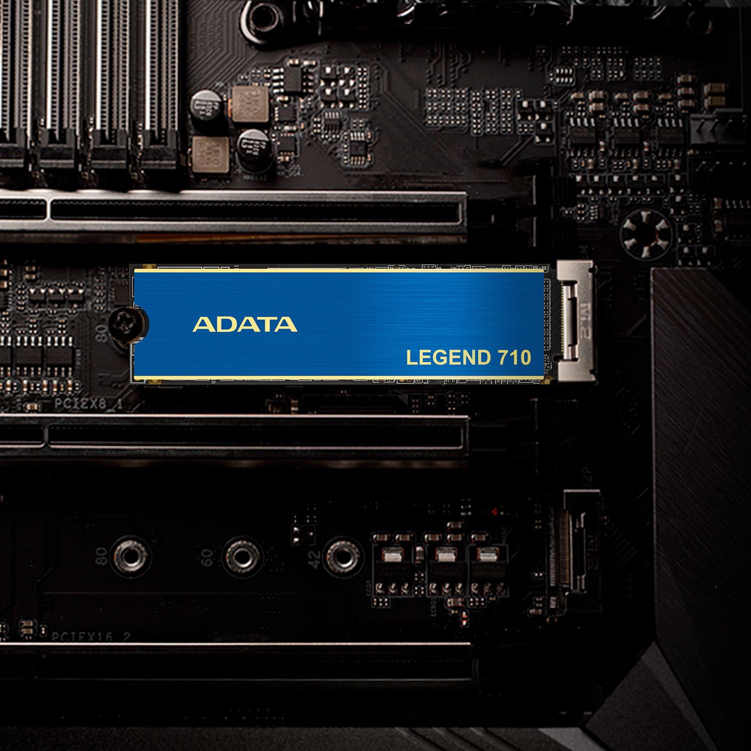 Product Gallery