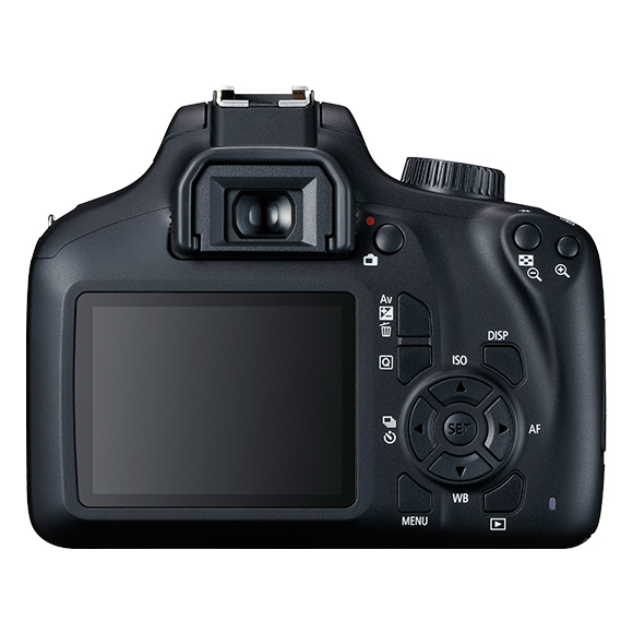 Canon Rebel T100 + EF-S 18-55mm III – image 3