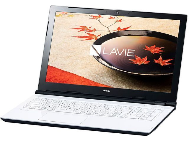 NEC LAVIE Direct NS (e) PC-GN16CJSGDC59D5YDA laptop Intel® Celeron® 3855U