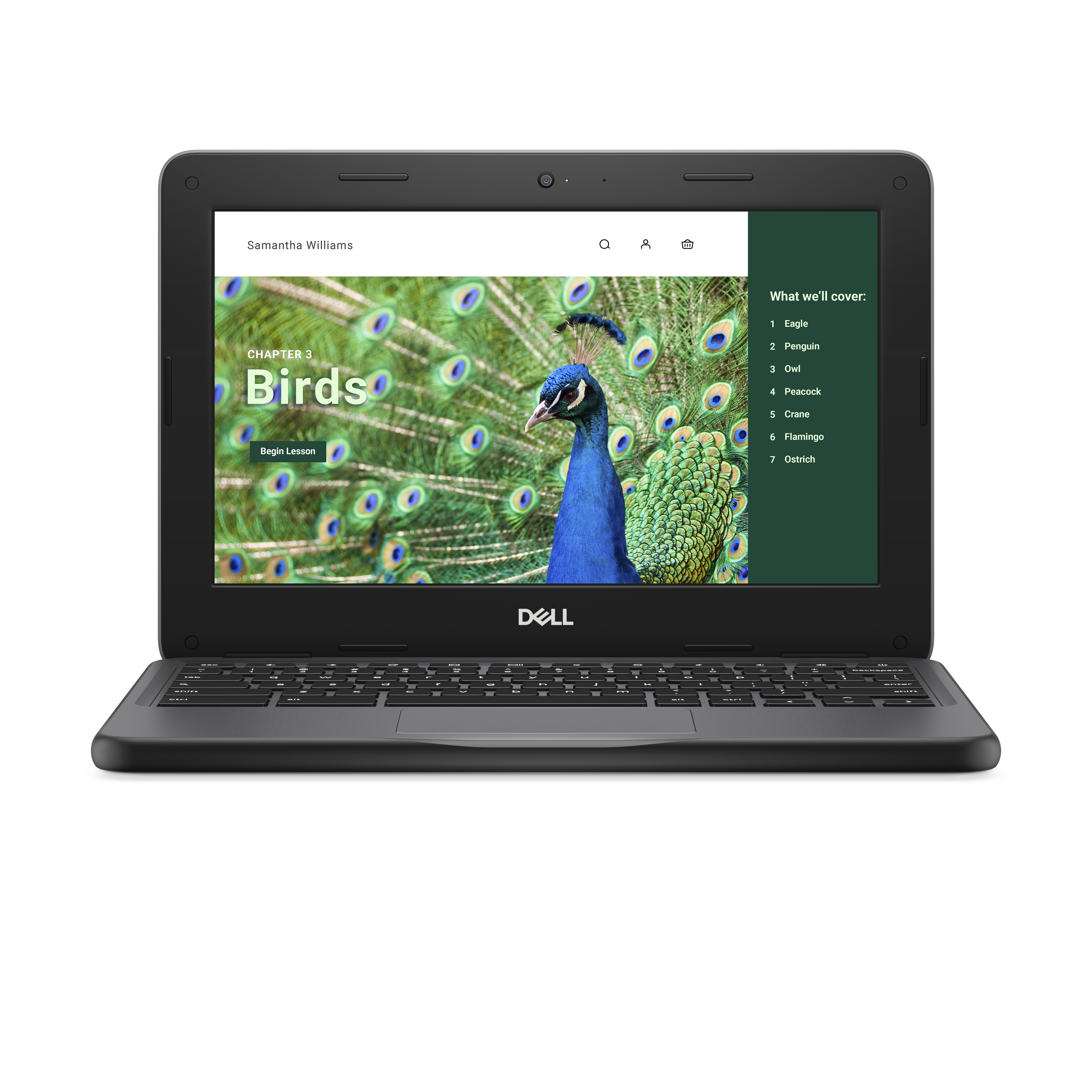 DELL Chromebook 3120 Intel N N100 295 cm 11.6 Touch screen HD 4 GB LPDDR5-SDRAM 64 GB eMMC Wi-Fi 6 802.11ax ChromeOS Nero (Dell