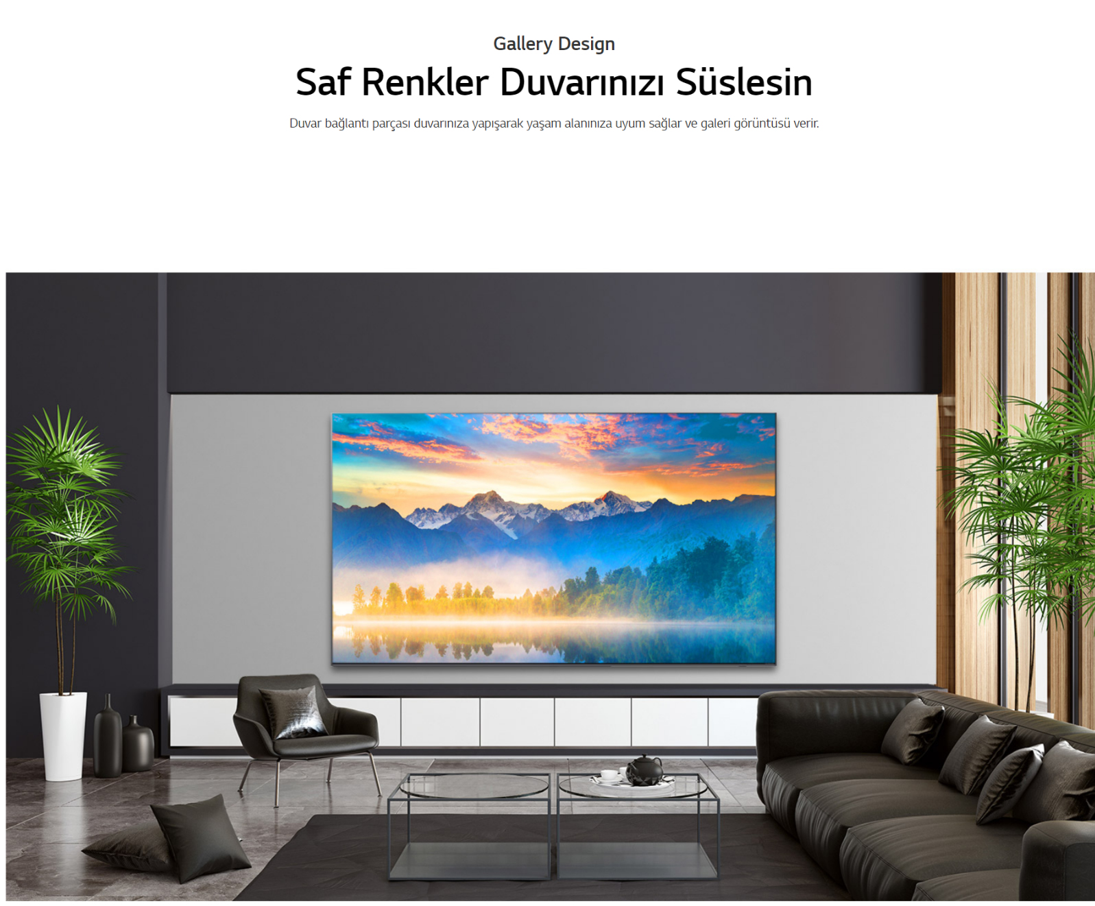 TV LG 65NANO956NA 65 NanoCell 8K Smart TV Noir — photo 21