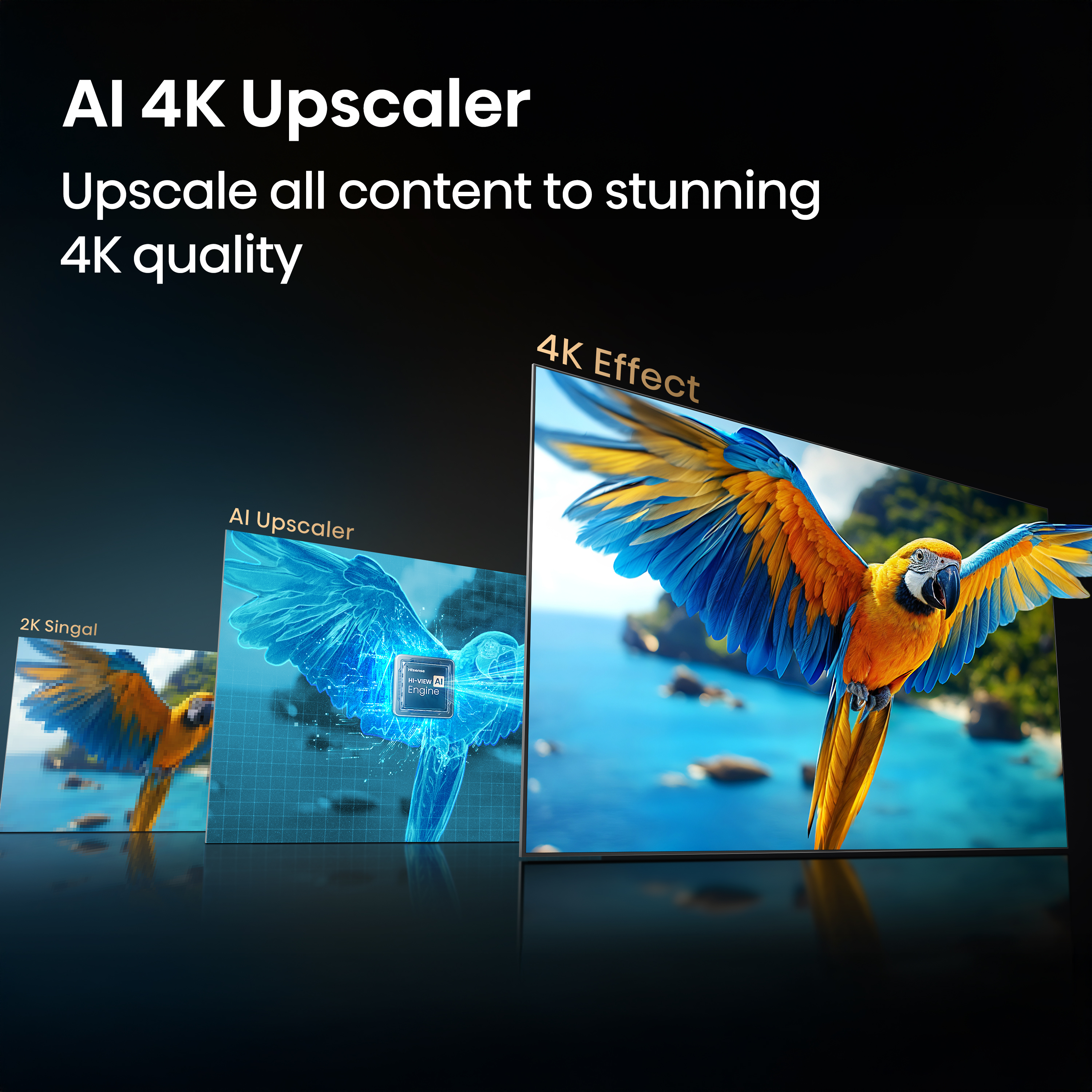 Product Gallery