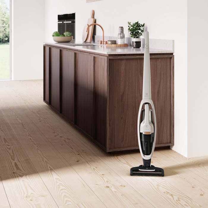Electrolux WQ61-44SW 2-in-1 stick vacuum Battery Dry Bagless – image 2