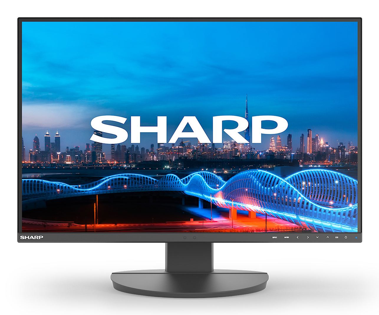 Sharp MultiSync EA241W - Écran LED