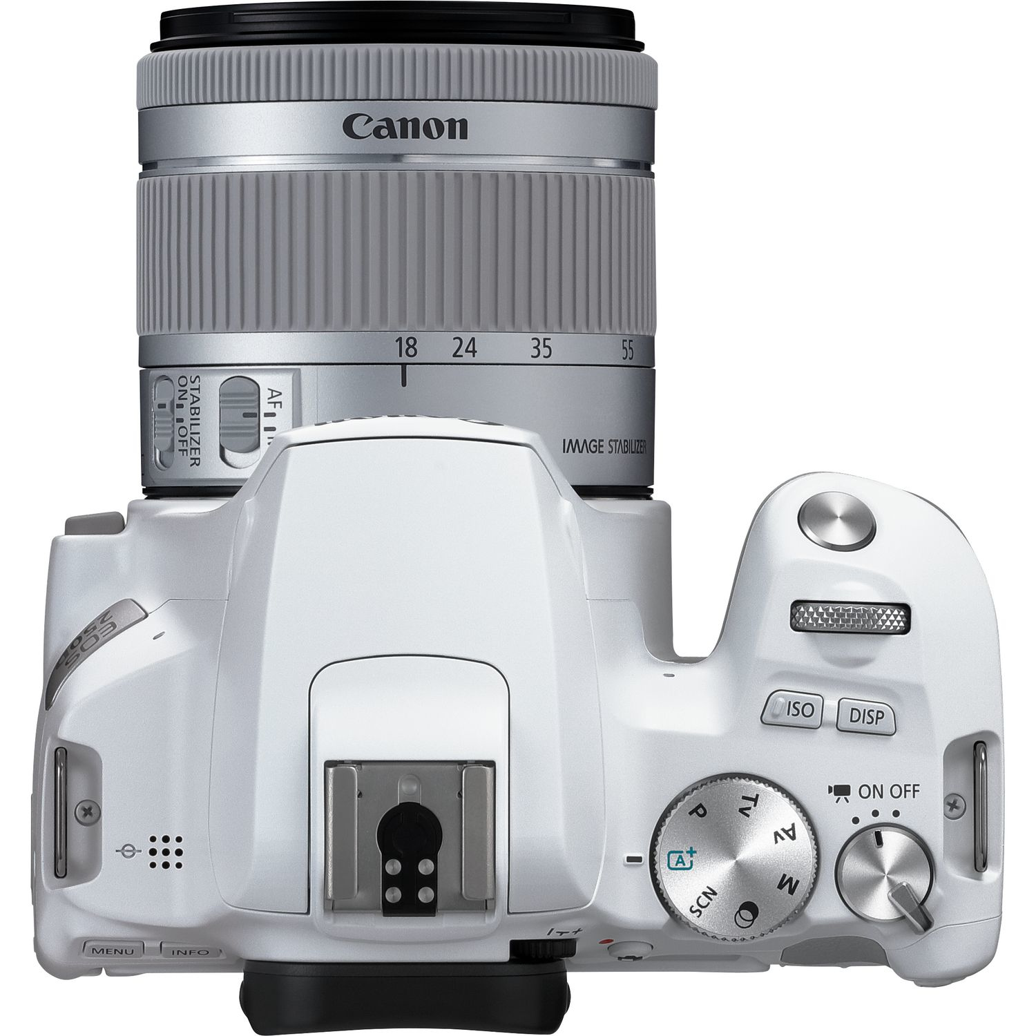 Canon 250D + EF-S 18-55mm f/4-5.6 IS STM – image 8