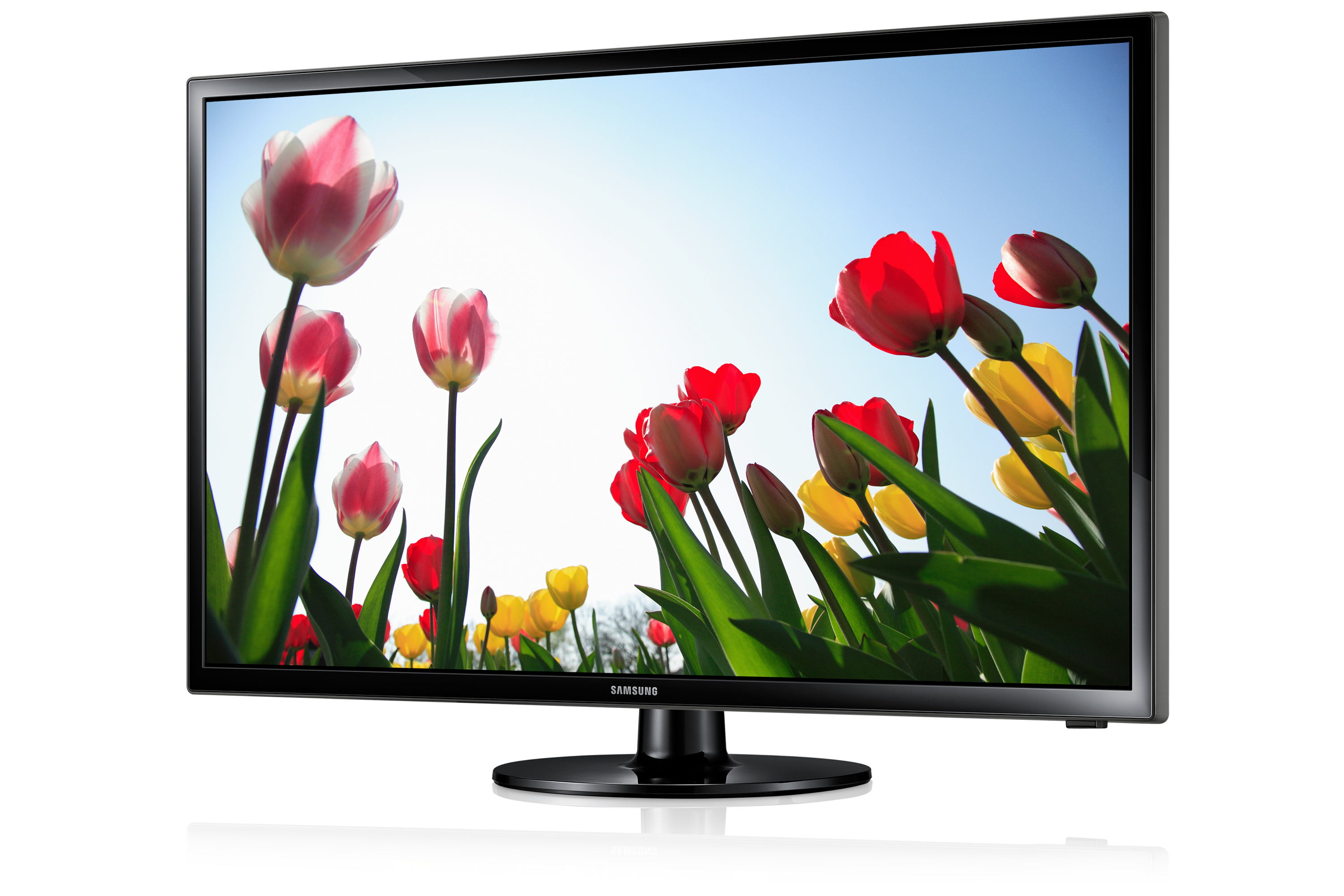 Samsung UE19F4000AW 48.3 cm (19") HD Black – image 2