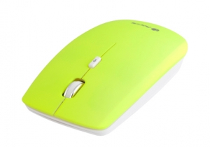 NGS Yellow Neon