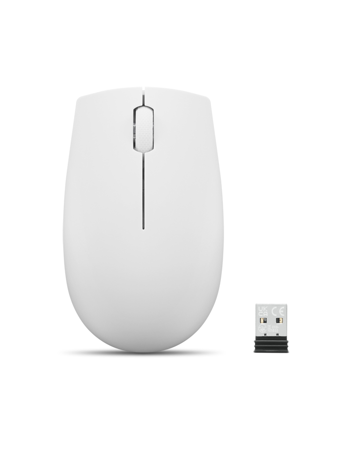 Lenovo 300 WIRELESS MOUSE?GREY datormöss Ambidextrous RF Trådlös Optisk 1000 DPI