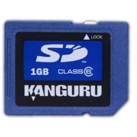 iStorage 1GB SD Card