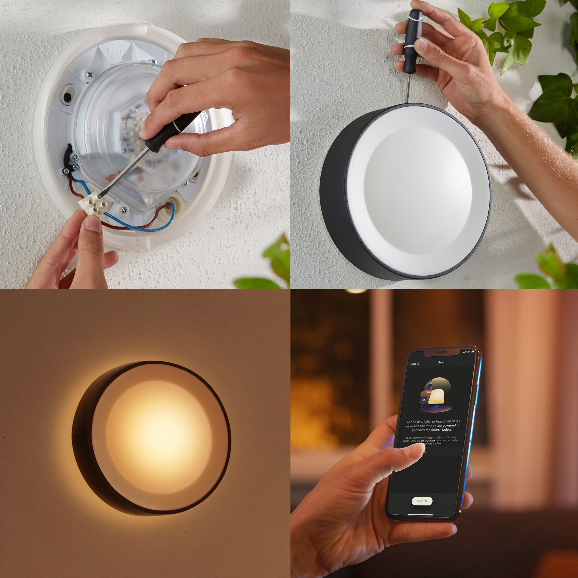 Philips by Signify Philips Hue White and colour ambience Daylo Outdoor wall light – image 8