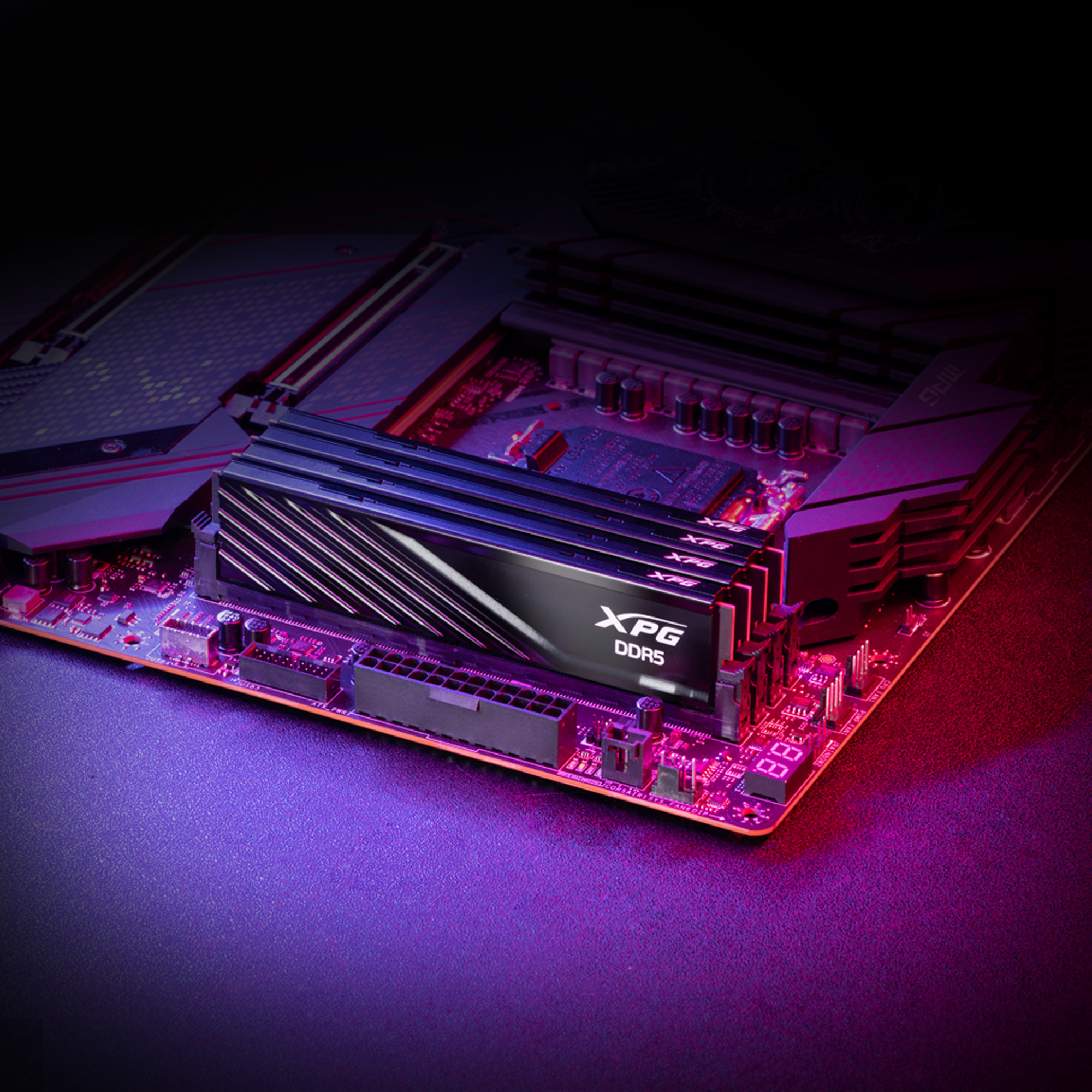 Product Gallery