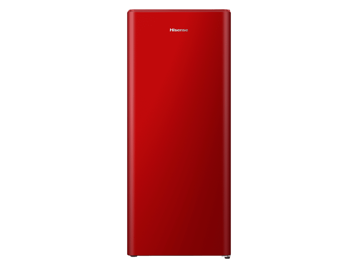 Hisense RR220D4BRE combi-fridge Freestanding