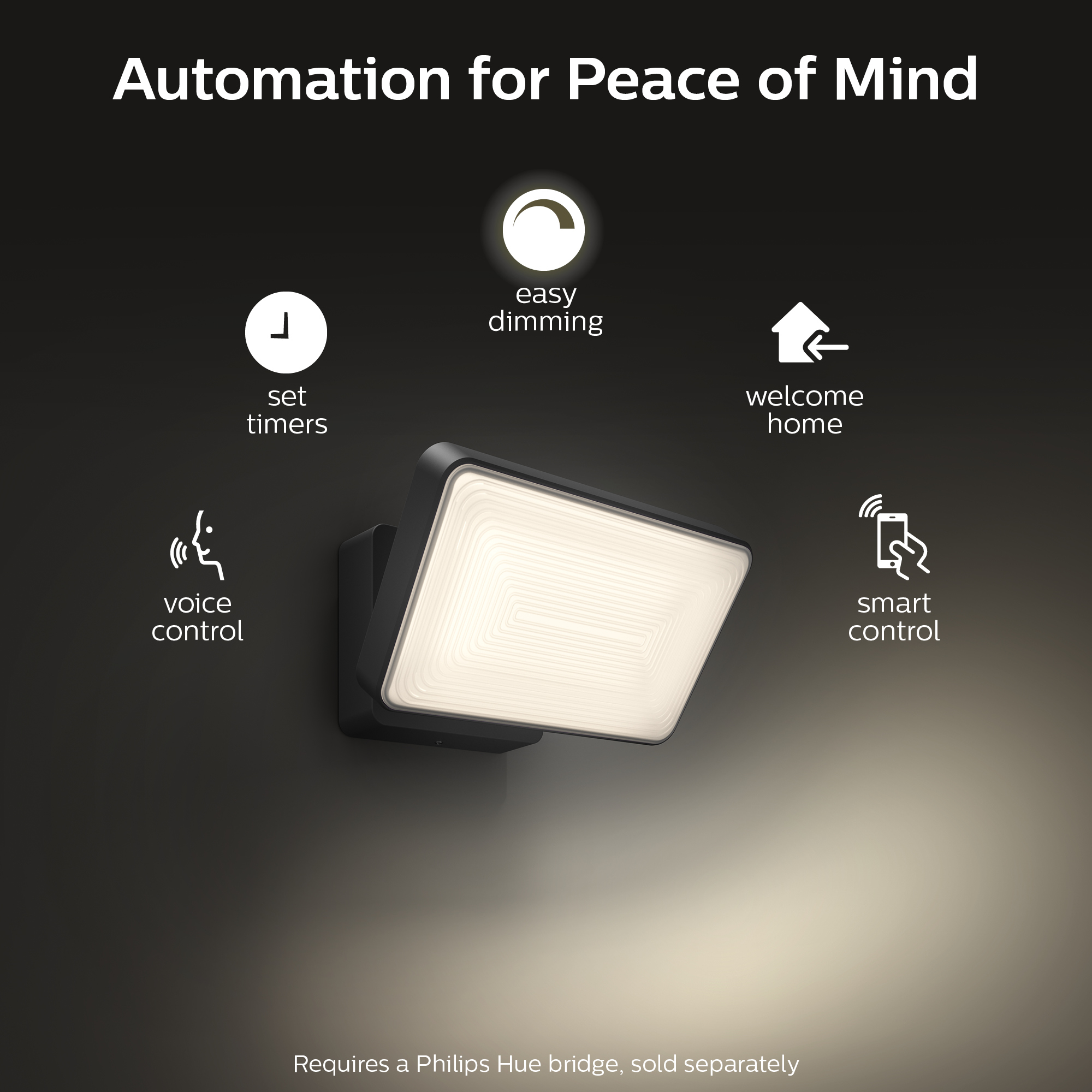 Philips by Signify Philips Hue White Welcome Outdoor Floodlight – image 4