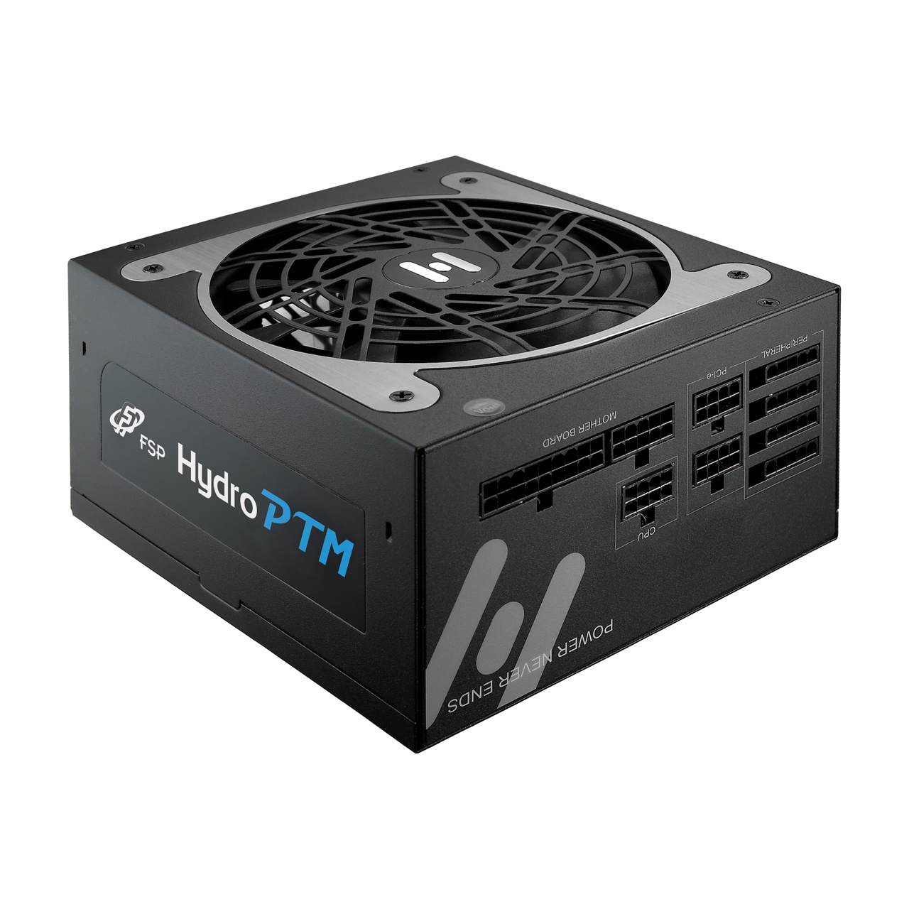 FSP Hydro PTM – image 3