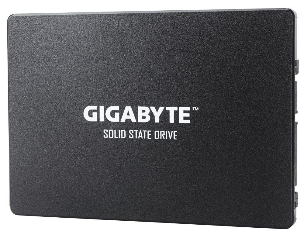 GIGABYTE GP-GSTFS31256GTND internal solid state drive – image 3