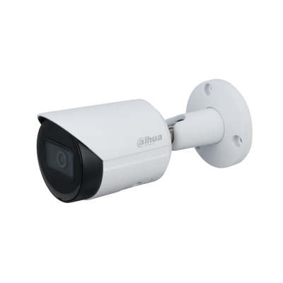 Dahua Technology Lite IPC-HFW2231S-S-S2 камера видеонаблюдения Dome IP камера видеонаблюдения В помещении и на открытом воздухе Потолок/стена