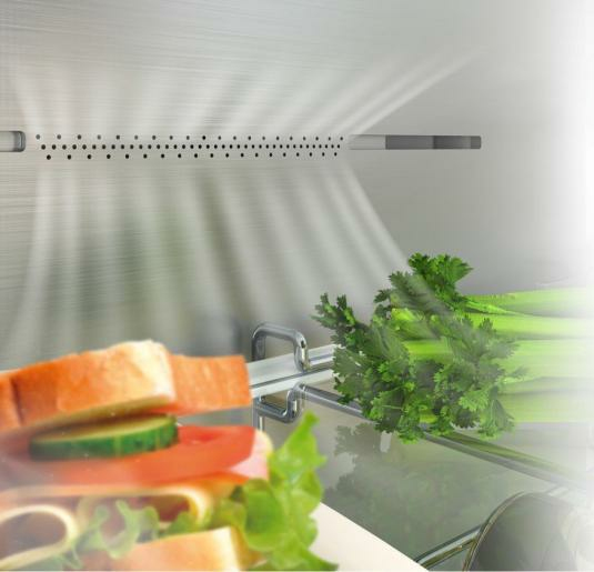 Hisense RB440N4CCB combi-fridge Freestanding – image 6