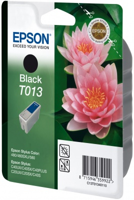 Epson Singlepack Black T013 – image 3
