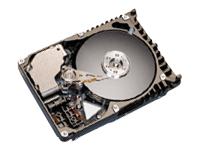 Seagate HD Atlas 10K III 73GB U160 68pin 10krpm