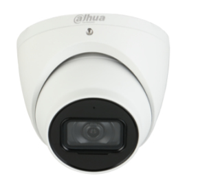 Dahua Technology WizSense IPC-HDW3241EM-AS security camera Turret IP security camera Indoor & outdoor Ceiling/Wall/Pole