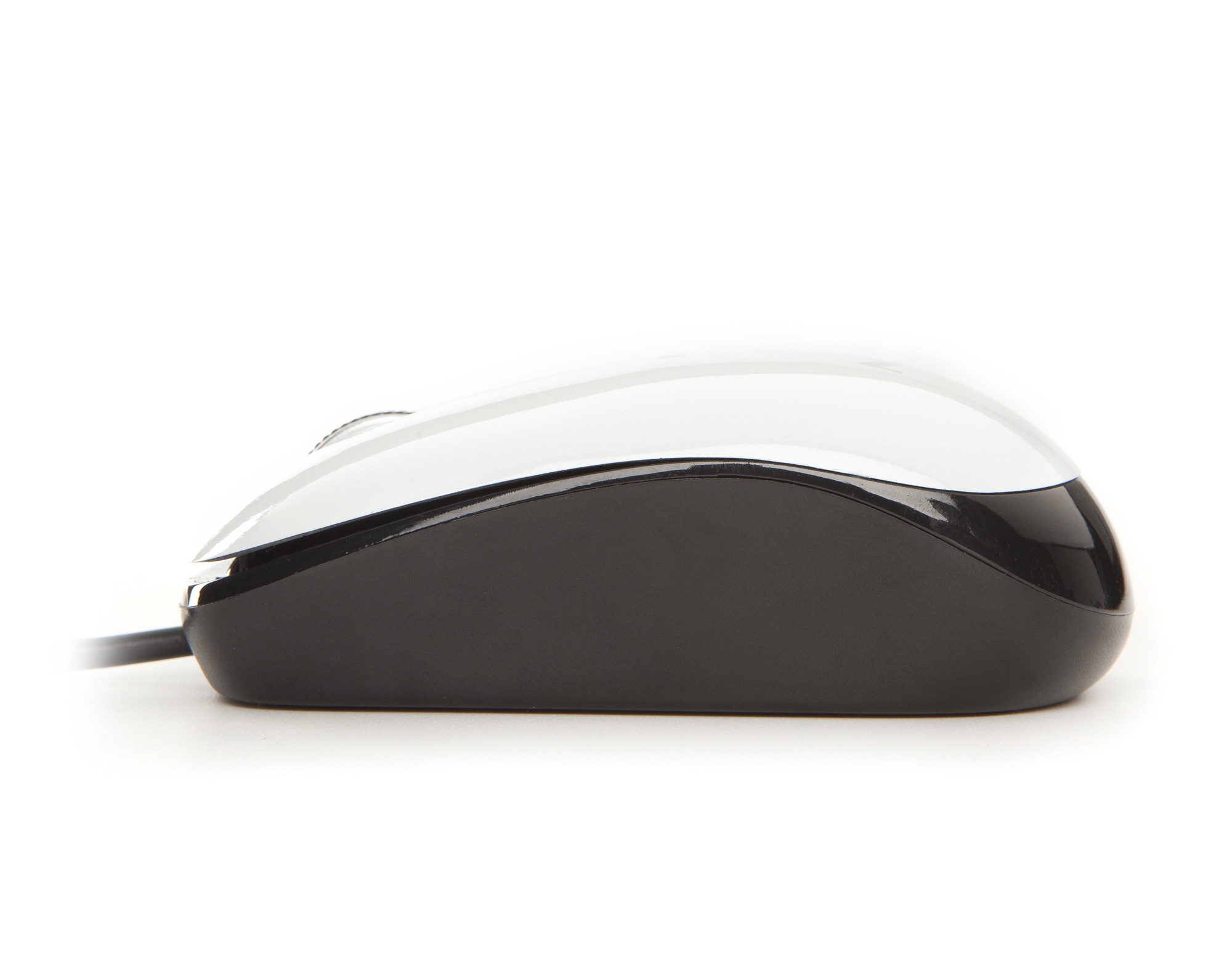 NGS White Flavour – image 4