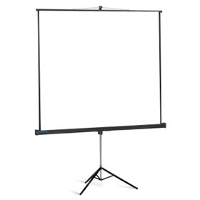 NEC Projecta ProView 160x160cm Matte White S