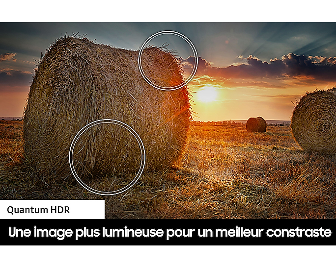 SAMSUNG TV QLED 4K 138 cm 55Q65C QLED 4K 2023 — photo 9
